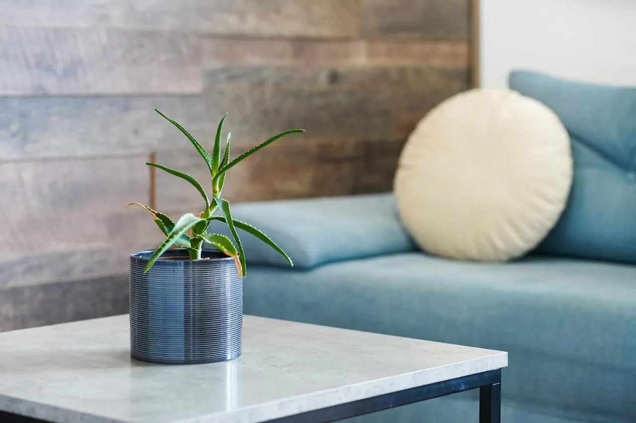 Teona Luxury Apartment With Terrace Sali