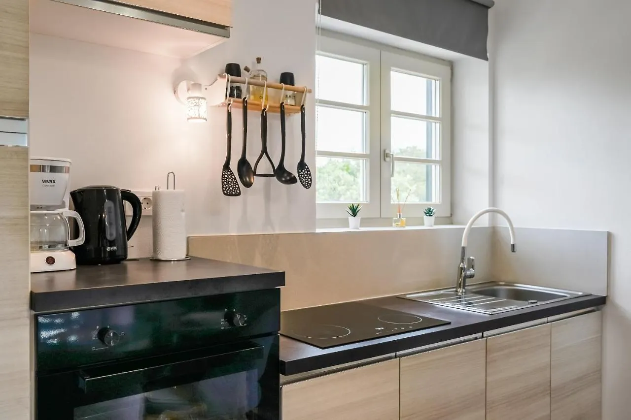 Teona Luxury Apartment With Terrace Sali